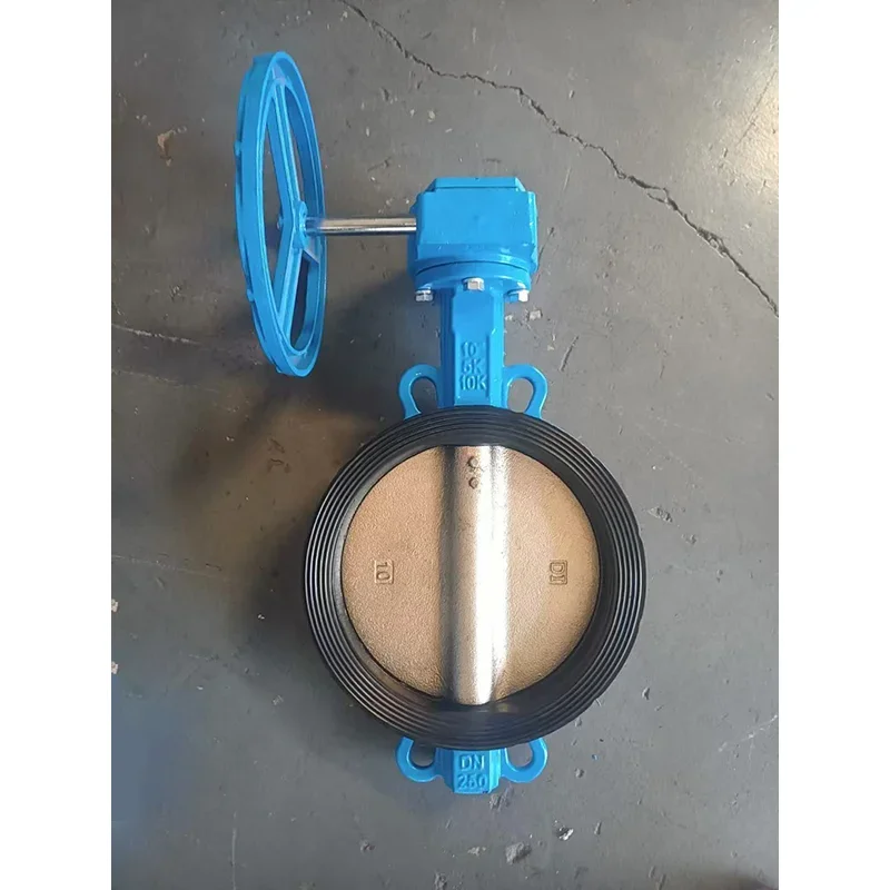 Me pehea te whakawa mehemea ka taea te whakakapi, te pupuri ranei i te Buterfly Valve?