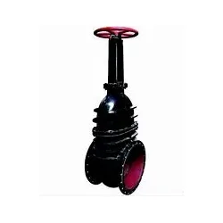 Kohuatia te rino e pa ana ki te Stem Flonge Gate Valve